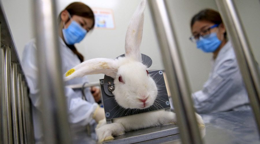 Is Animal Testing Cruel?
