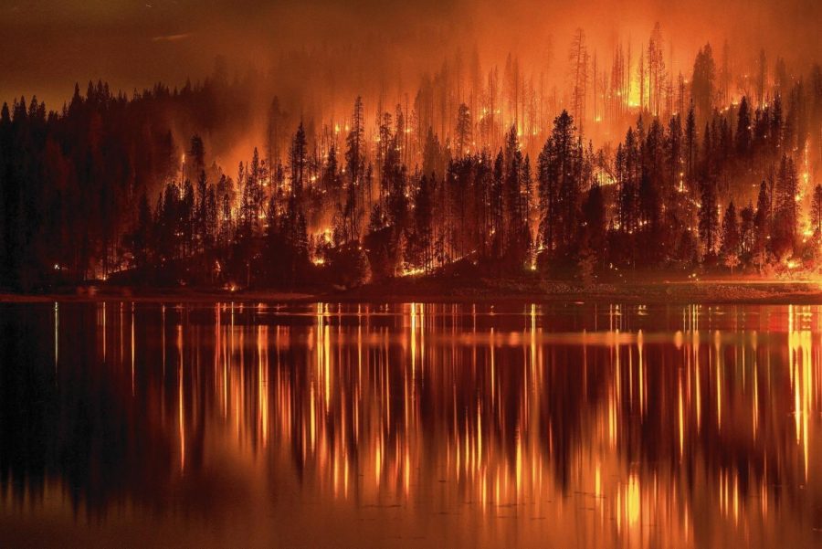 Octobers California Wildfires the Deadliest in Last Century