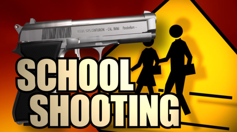 18 School Shootings in 44 Days
