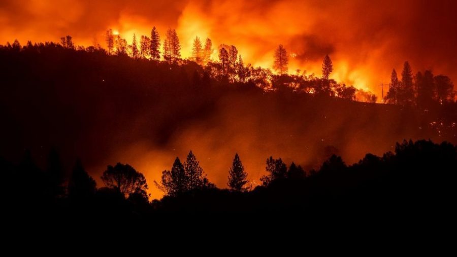 California wild fire the deadliest and most damaging in history