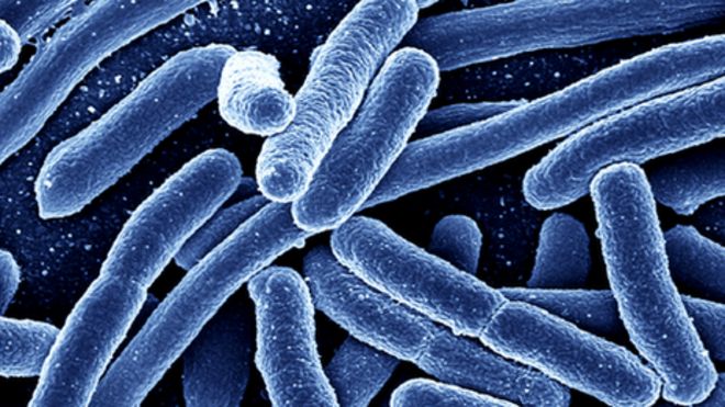 E. Coli outbreak affects several eastern states, Ohio among them