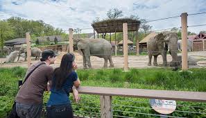 Zoos: Are they ethical?