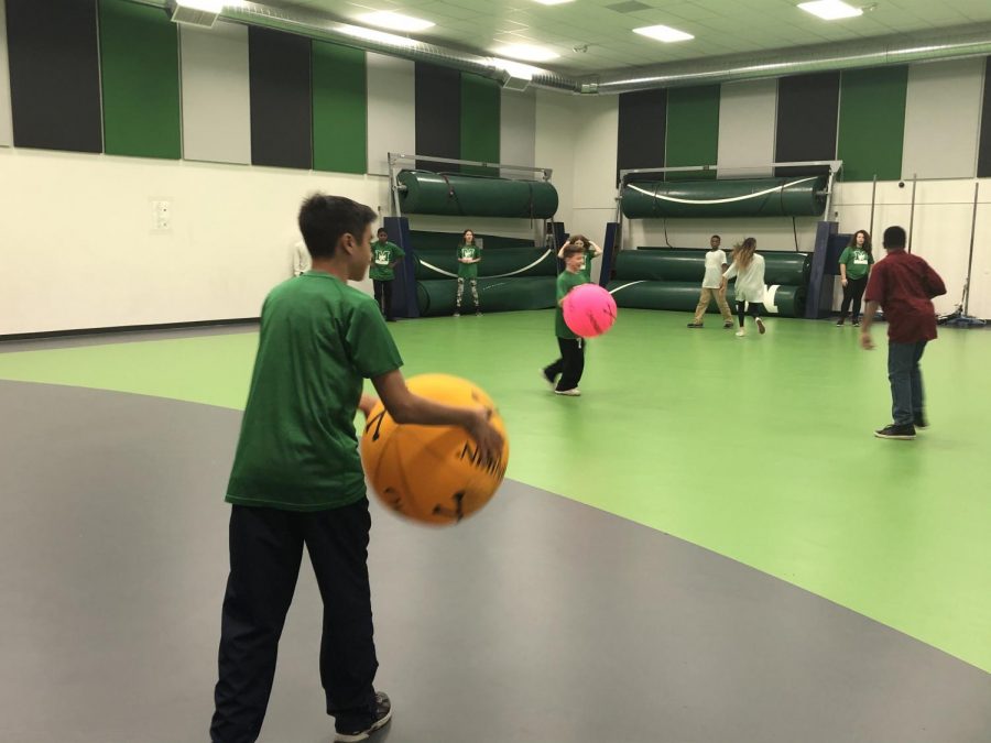 MMS offers two different gym courses for students