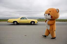 Man in a bear costume finishes cross-country trek for charity