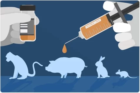 The troubling truths behind animal testing